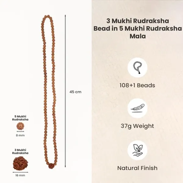 Brown_3_Mukhi_And_5_Mukhi_Rudraksha_Bead_Mala