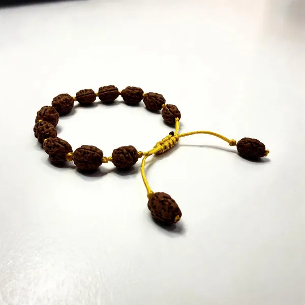 2_Mukhi_Indonesian_Rudraksha_Adjustable_Bracelet_for_Men_&_Women_Lab_Certified