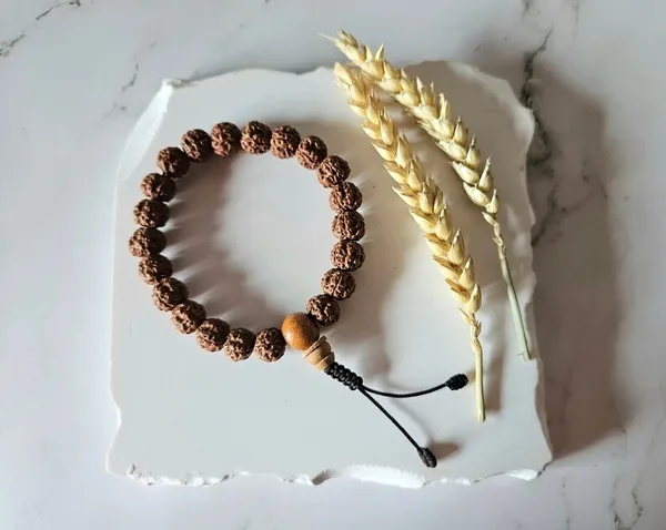 Brown_Rudraksha_Bead_Adjustable_Bracelet