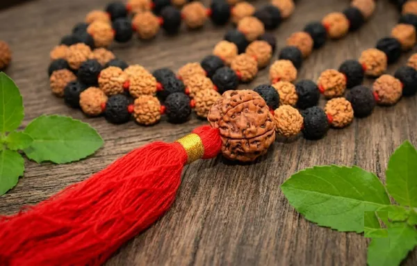 Rudraksha_And_Black_Bead_Mala_With_Red_Tassel