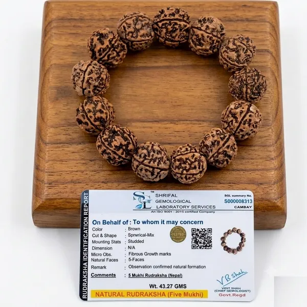 Brown_Natural_5_Mukhi_Rudraksha_Bracelet_for_Unisex