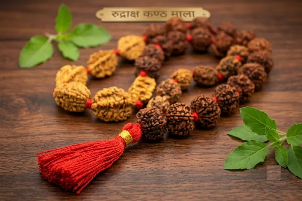 Brown_Rudraksha_Bead_Mala_for_Men_And_Women