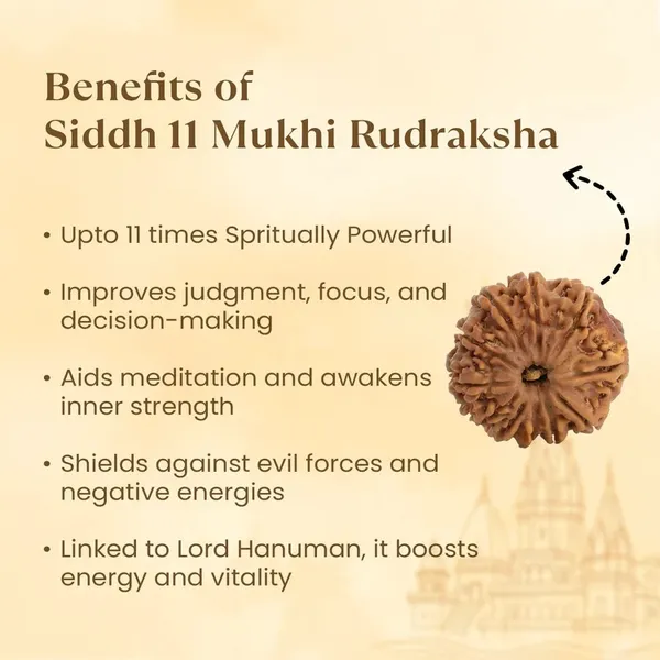 11_Mukhi_Rudraksha_Spiritual_Bead