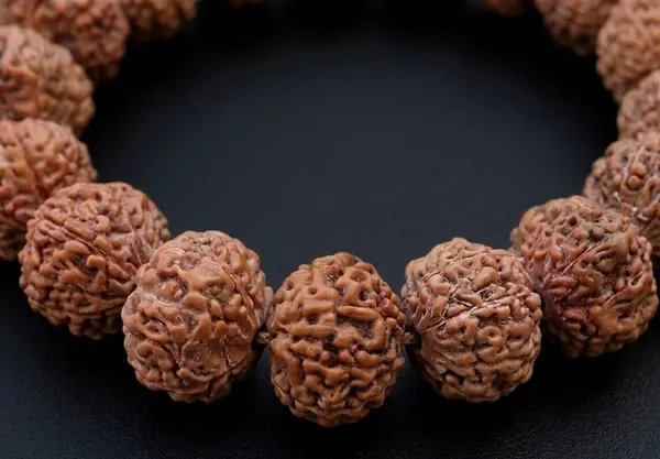 Brown_10_Mukhi_Rudraksha_Bead_Bracelet_for_Devotees