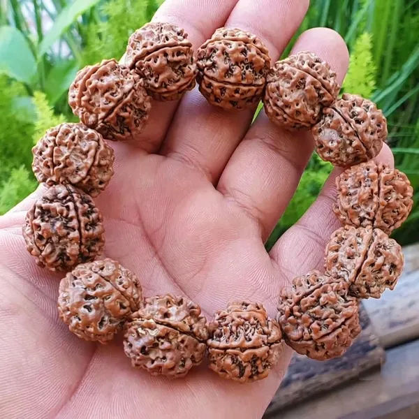 Brown_Natural_5_Mukhi_Rudraksha_Bracelet_for_Unisex