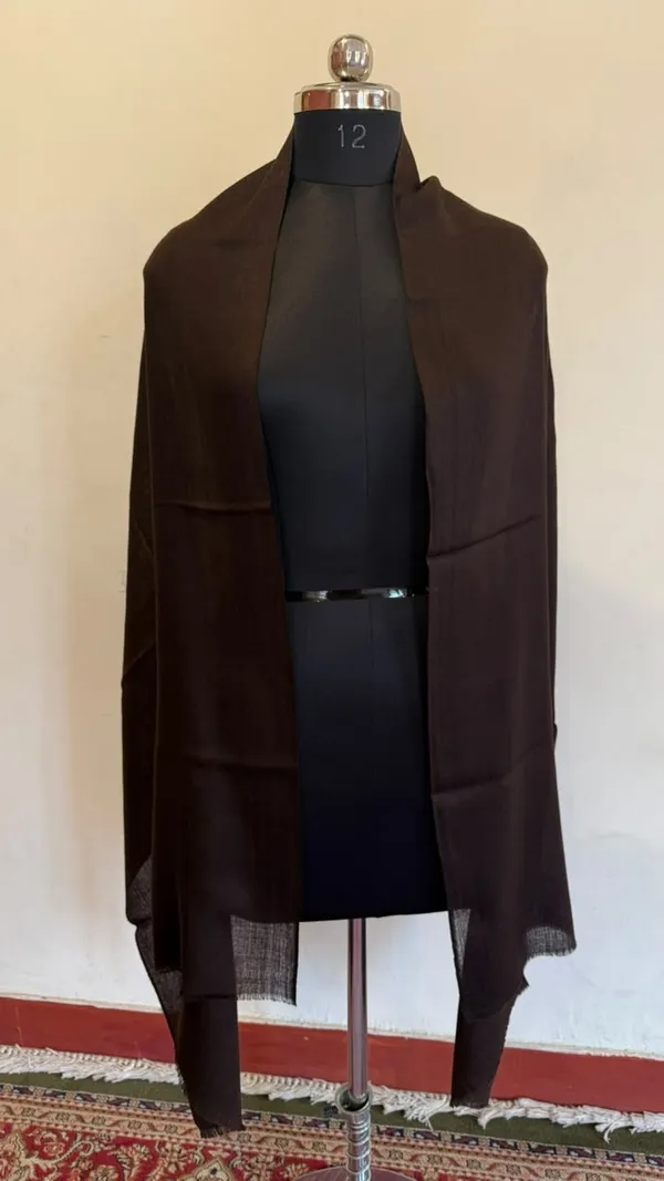 Brown_Sheer_Draped_Stole_for_Women