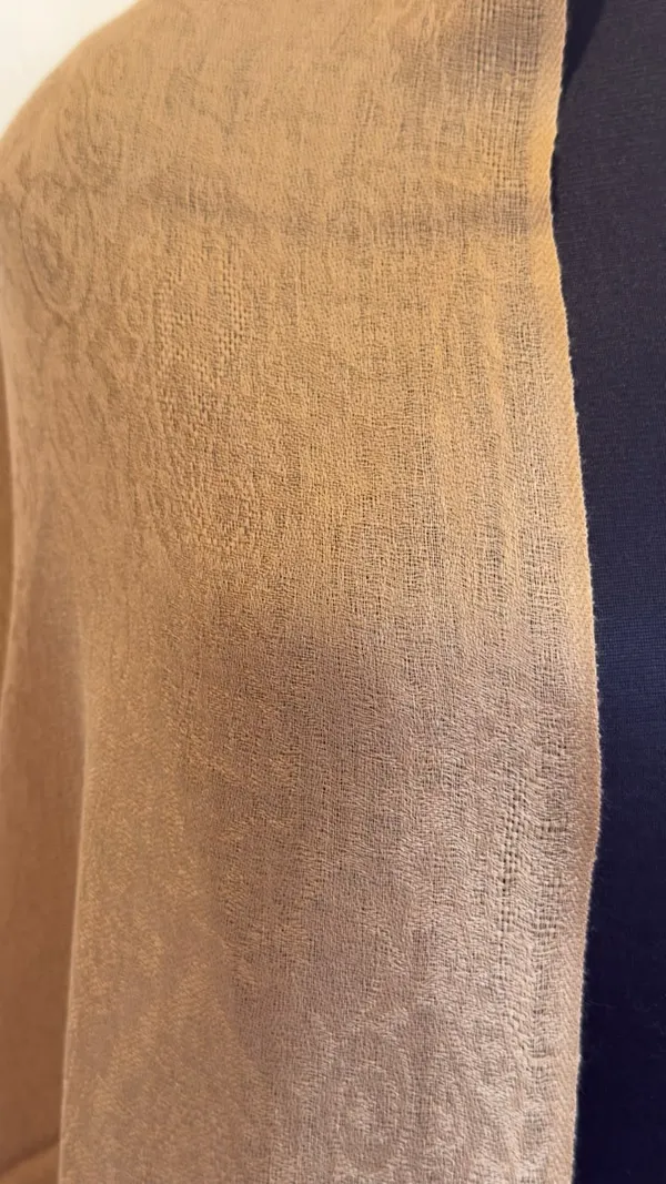 Beige_Textured_Woven_Shawl_for_Women