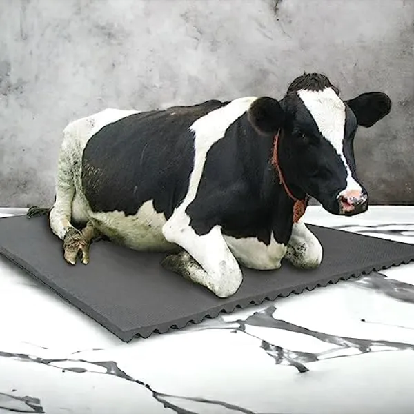 Agronova_Animal_Feeding_Waterproof_Rubber_Made_With_Mat_Eva_Free_Material_For_Cow_Buffalo_Horse