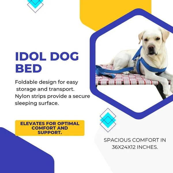 Generic_Idol_Elevated_Foldable_Dog_Bed