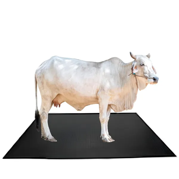 Idol_Animal_Fidding_8_By_5_Feet_Mat_Bpa_Free_Pure_Eva_Rubber_30_Mm_Thickness