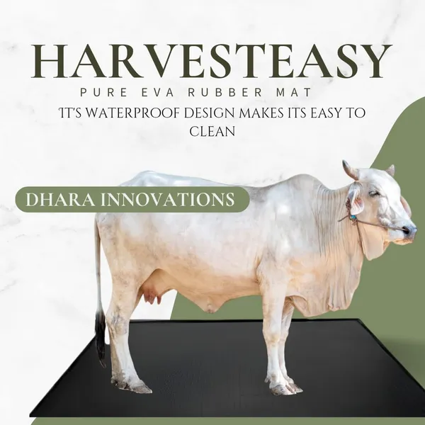 Idol_Durable_Non_Slippery_8x5_Feet_Cow_Mat_For_Cow_Buffaloes_And_Horses_Mat