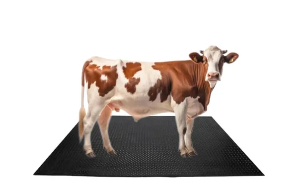 Idol_Pure_Eva_Rubber_Mat_Easy_To_Clean_Bpa_Free_8_By_5_Feet_Thickness_30_Mm