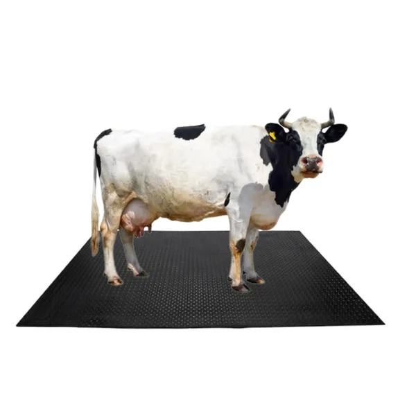 Cowmatix_Bpa_Free_Cow_Mat_8_By_5_Feet_Thickness_30_Mm_Waterproof_And_Easy_To_Clean
