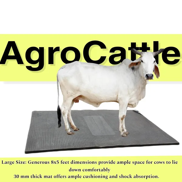 Eva_Rubber_Agrocattle_Big_Size_8_By_5_Feet_Cow_Mat_30_Mm_Thick_For_Cow_Buffelo_Horse_Bull_Bpa_Free_And_Easy_To_Clean_Black
