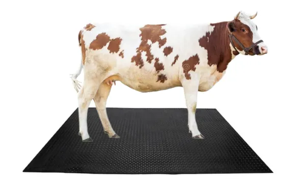 Eva_Rubber_Agrocattle_Big_Size_8_By_5_Feet_Cow_Mat_30_Mm_Thick_For_Cow_Buffelo_Horse_Bull_Bpa_Free_And_Easy_To_Clean_Black