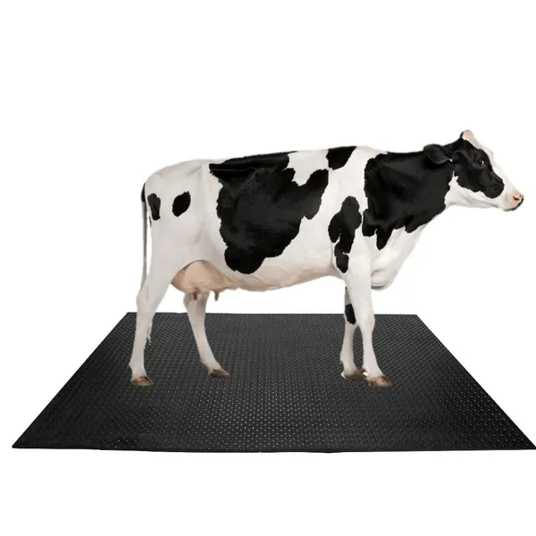 Fieldflex_Premium_Black_Eva_Rubber_Mat_8x5_Ft_30_Mm_Thickness_Waterproof_For_Cows_Horses_Buffelo