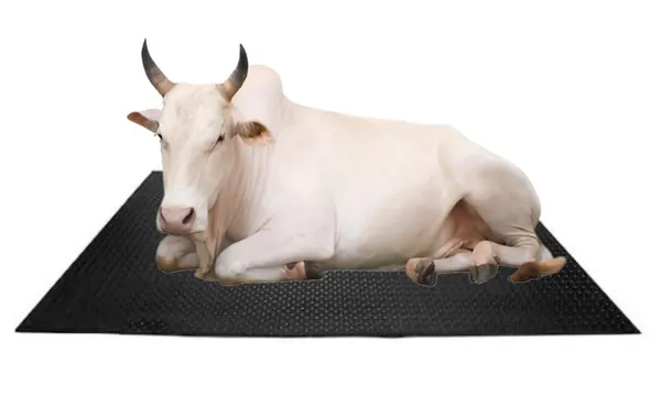 Fieldflex_Black_Eva_Rubber_Cow_Mat_For_Cows_Horses_Buffelos_Bulls_Bpa_Free_And_Waterproof_Easy_To_Clean_8x5_Ft_Mat