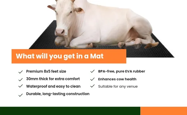 Mrf_Cow_Mat_8_X_5_Feet_30_Mm_Thick_Waterproof_And_Easy_To_Clean_Pure_Eva_Rubber_Mat