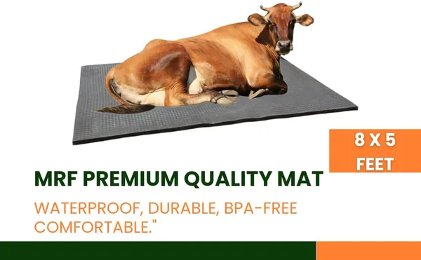 Mrf_Cow_Mat_8_X_5_Feet_30_Mm_Thick_Waterproof_And_Easy_To_Clean_Pure_Eva_Rubber_Mat