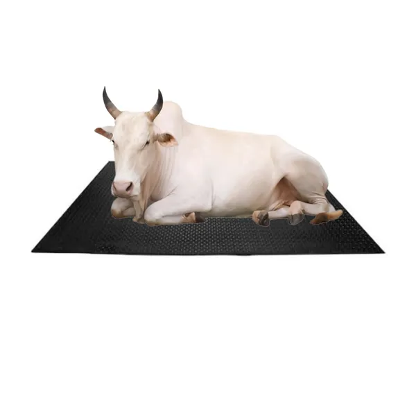 Anmol_Kissan_Eva_Rubber_Mat_For_Cow_And_Buffalo_Feeding_Heavy_Duty_8x5_Ft_30mm_Thick_Anti_Slip_And_Durable_Black_Ma