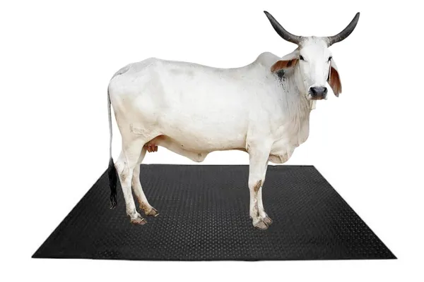 Anmol_Kissan_Eva_Rubber_Mat_For_Cow_And_Buffalo_Feeding_Heavy_Duty_8x5_Ft_30mm_Thick_Anti_Slip_And_Durable_Black_Ma