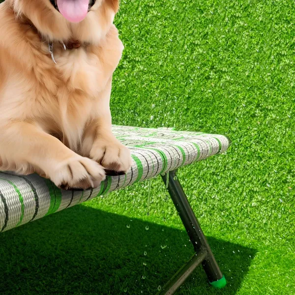 Idol_By_Dhara_Elevated_Leg_Foldable_Pet_Dog_Bed_Iron_Frame_With_Nylon_Straps_Outdoor_Indoor_Use_Size_36x24x12_Inch_Strong_Quality_Ideal_Travel_Home_Pet_Furniture