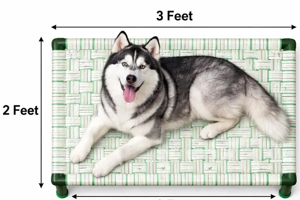 Petluxe_By_Dhara_Elevated_Dog_Bed_2x3_Feet_Light_Green_1_Inch_Round_Metal_Pipe_Frame_Removable_8_Inch_Legs_Nylon_Strap_Sleeping_Surface_Portable_Indoor_Outdoor_Pet_Bed