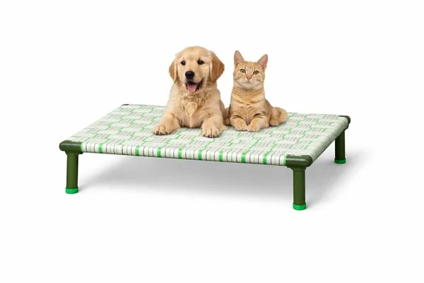 Petluxe_By_Dhara_Elevated_Dog_Bed_2x3_Feet_Light_Green_1_Inch_Round_Metal_Pipe_Frame_Removable_8_Inch_Legs_Nylon_Strap_Sleeping_Surface_Portable_Indoor_Outdoor_Pet_Bed