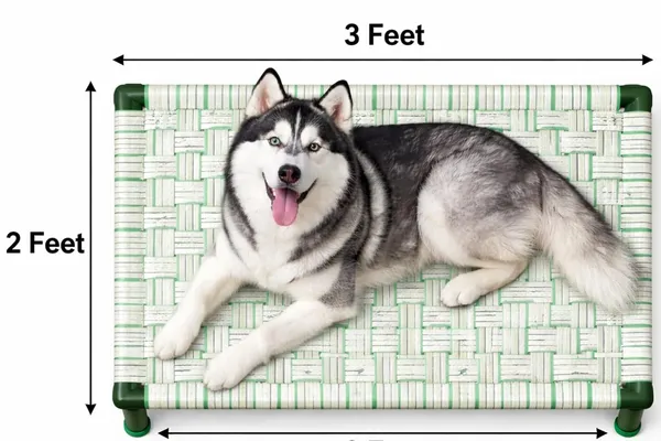Pawforge_By_Dhara_Foldable_Elevated_Dog_Bed_2x3_Feet_Heavy_Duty_1_Inch_Round_Metal_Pipe_Frame_10_Inch_Height_Nylon_Strap_Sleeping_Surface_Portable_Indoor_Outdoor_Pet_Bed