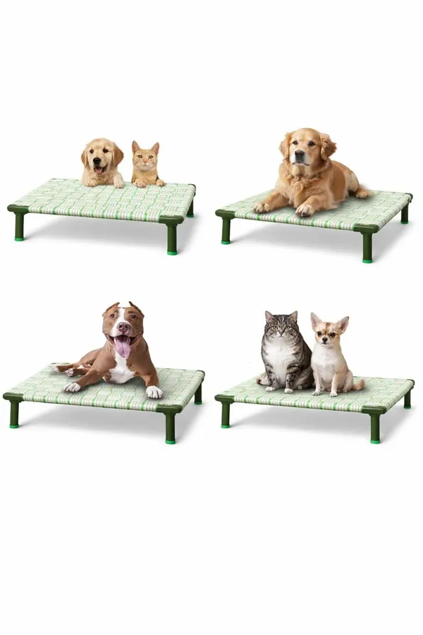 Petvanta_By_Dhara_Elevated_Dog_Bed_2x3_Feet_Strong_1_Inch_Metal_Pipe_Frame_Fixed_8_Inch_Legs_Durable_Nylon_Strap_Base_Indoor_Outdoor_Pet_Cot