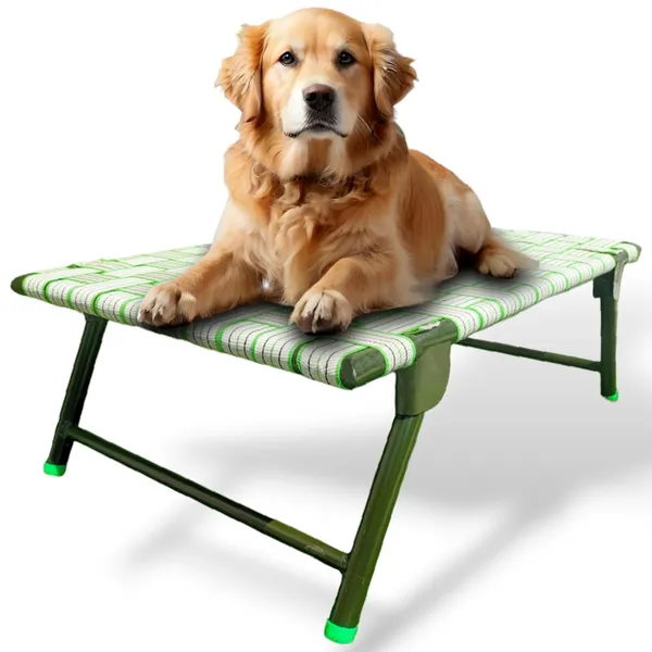 Pawzent_By_Dhara_Elevated_Foldable_Dog_Bed_2x3_Feet_Strong_Metal_Frame_10_Inch_Raised_Height_Breathable_Nylon_Webbing_Indoor_Outdoor_Pet_Cot