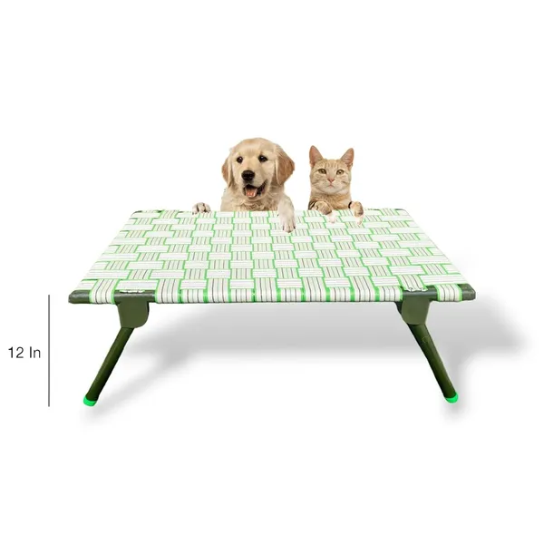 Pawzent_By_Dhara_Elevated_Foldable_Dog_Bed_2x3_Feet_Strong_Metal_Frame_10_Inch_Raised_Height_Breathable_Nylon_Webbing_Indoor_Outdoor_Pet_Cot