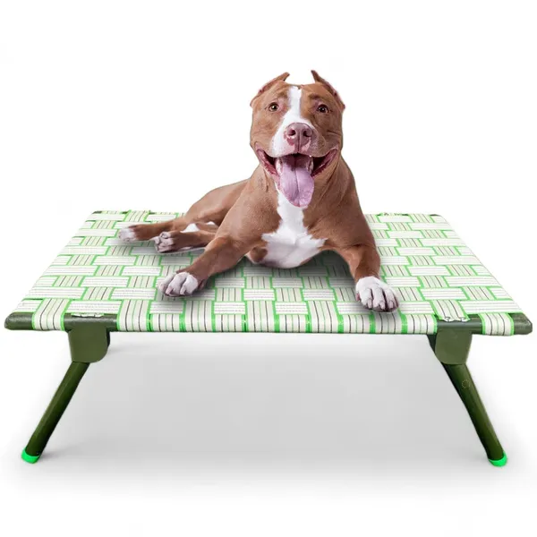 Pawzent_By_Dhara_Elevated_Foldable_Dog_Bed_2x3_Feet_Strong_Metal_Frame_10_Inch_Raised_Height_Breathable_Nylon_Webbing_Indoor_Outdoor_Pet_Cot