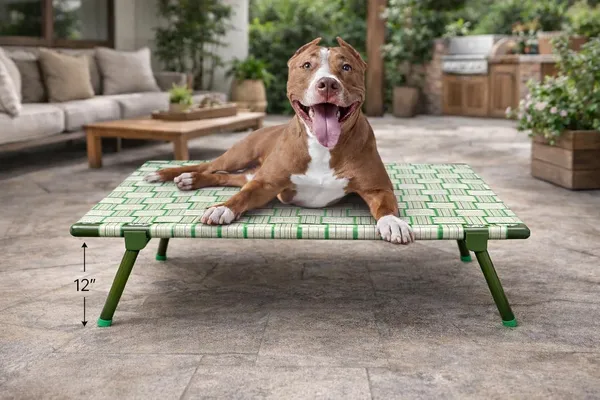 Pawfold_Elevated_Dog_Bed_Foldable_Heavy_Duty_1_Inch_Thik_Pipe_Frame_Breathable_Nylon_Strap_Fabric_Water_Resistant_Washable_Anti_Slip_Feet_Indoor_Outdoor_Pet_Cot_Bed_Large_36x24x12_Inch