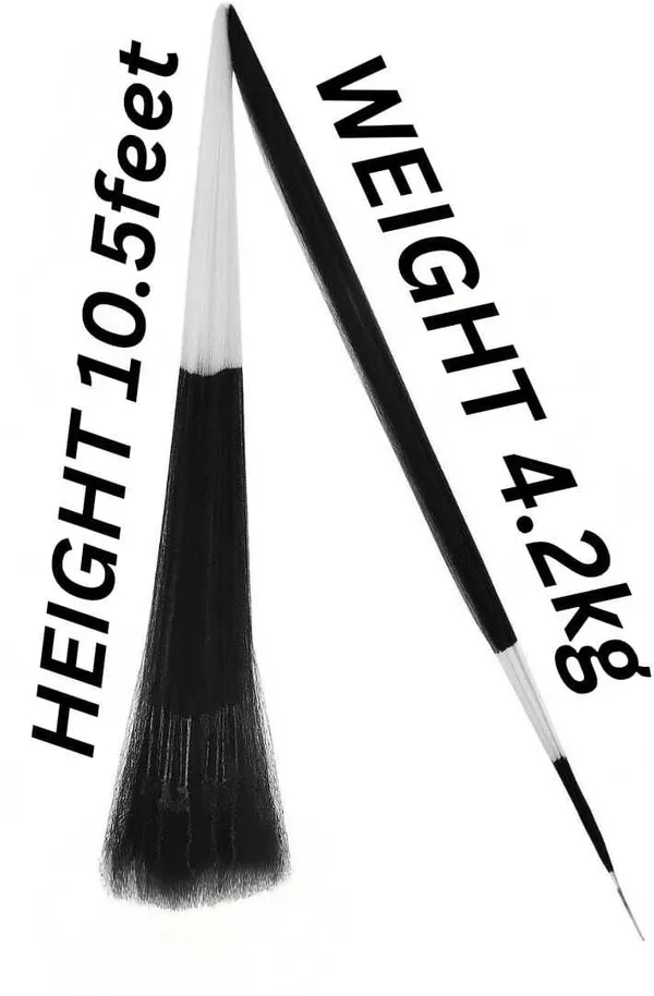 AHMEDENTERPRISE_Cast_Fising_Net_10mm_Mesh_size_Weight-4.2kg_(Black,White)_Fishing_Net_(Multicolor)