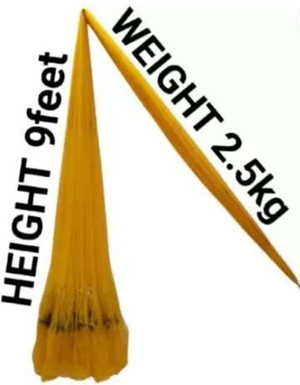 AhmedFishNet_FISHING_CAST_NET_16mm_MESH_SIZE_WEIGHT_2.5KG,_ROUN-36feet,_HEIGHT-9feet_Fishing_Net_(Yellow)