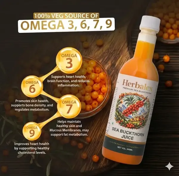 Herbalex_Sea_Buckthorn_Juice_Pack_of_4