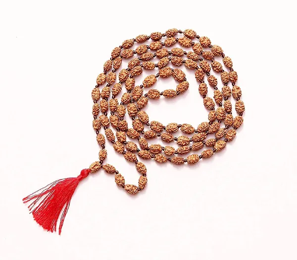 Certified_Natural_Wood_2_Mukhi_Moon_108_Beads_Rudraksha_Mala_7_9_Mm_Brown