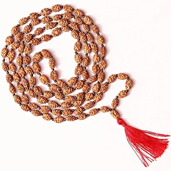 Certified_Natural_Wood_2_Mukhi_Moon_108_Beads_Rudraksha_Mala_7_9_Mm_Brown