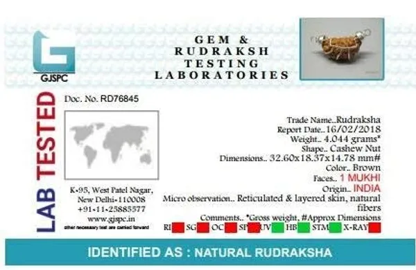 1_Mukhi_Rudraksha_Pendant_1_Face_Rudraksha_Pendant_Certified_1_Mukhi_Face_Rudraksha_Pendant_Unisex_Pendant