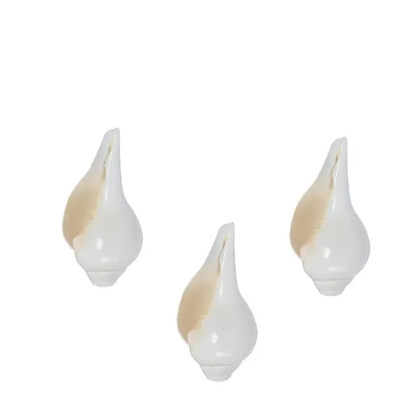 Combo_Set_Of_3Pcs_Sound_Making_Shankh_Shankha_A_Grade_Shankh_White_Blowing_Conch_Bajne_Wala_Shankh_3_Pcs_Set