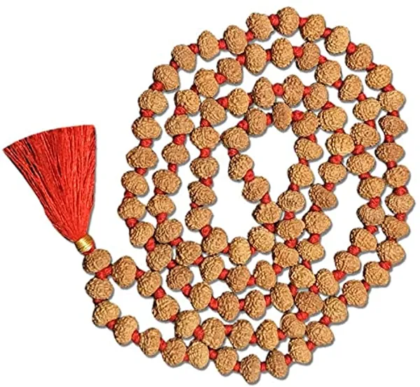 10_Mukhi_Rudraksha_Mala_Certified_Energized_10_Ten_Face_Rudraksha_Mala_108_1_109_Beads_Rudraksha_Mala_10_Mukhi_Rudraksha_Mala
