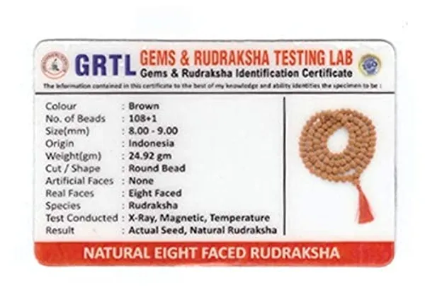 Certified_8_Mukhi_Rudraksha_Mala_Aaa_Quality_8_Face_Rudraksha_Mala