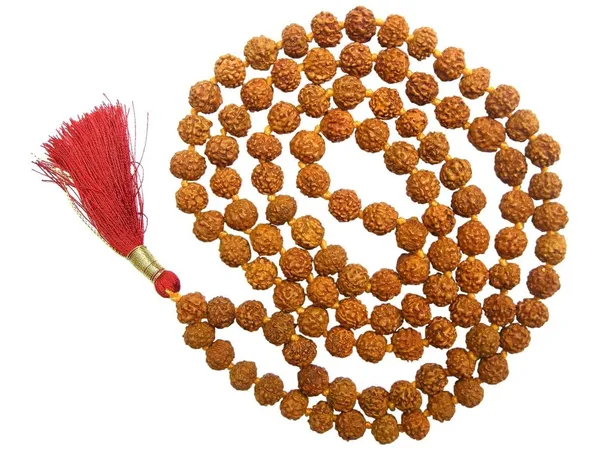 Certified_Natural_6_Mukhi_Rudraksha_Mala_Natural_Six_6_Face_Rudraksha_Mala_108_1_109_Beads