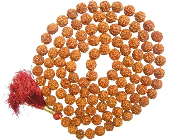 Certified_Natural_6_Mukhi_Rudraksha_Mala_Natural_Six_6_Face_Rudraksha_Mala_108_1_109_Beads