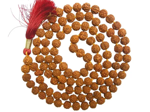 Certified_Natural_6_Mukhi_Rudraksha_Mala_Natural_Six_6_Face_Rudraksha_Mala_108_1_109_Beads