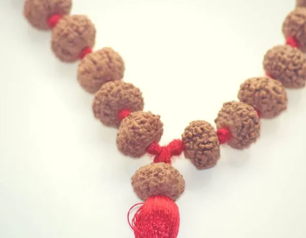 Certified_8_Mukhi_Rudraksha_Mala_8_Face_Rudraksha_Mala