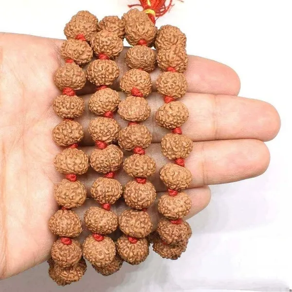 Certified_8_Mukhi_Rudraksha_Mala_8_Face_Rudraksha_Mala
