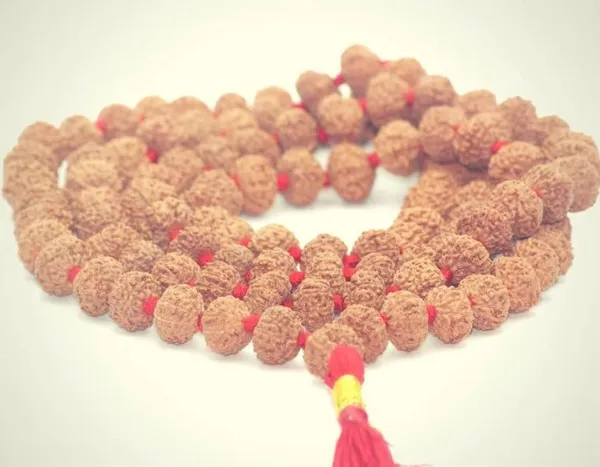 Certified_8_Mukhi_Rudraksha_Mala_8_Face_Rudraksha_Mala