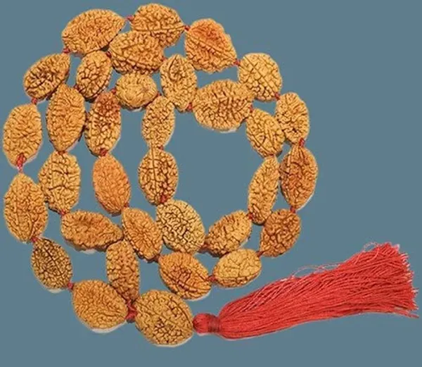 Certified_2_Mukhi_Rudraksha_Mala_Energized_2_Mukhi_Rudraksha_Mala_33_Beads_Mala